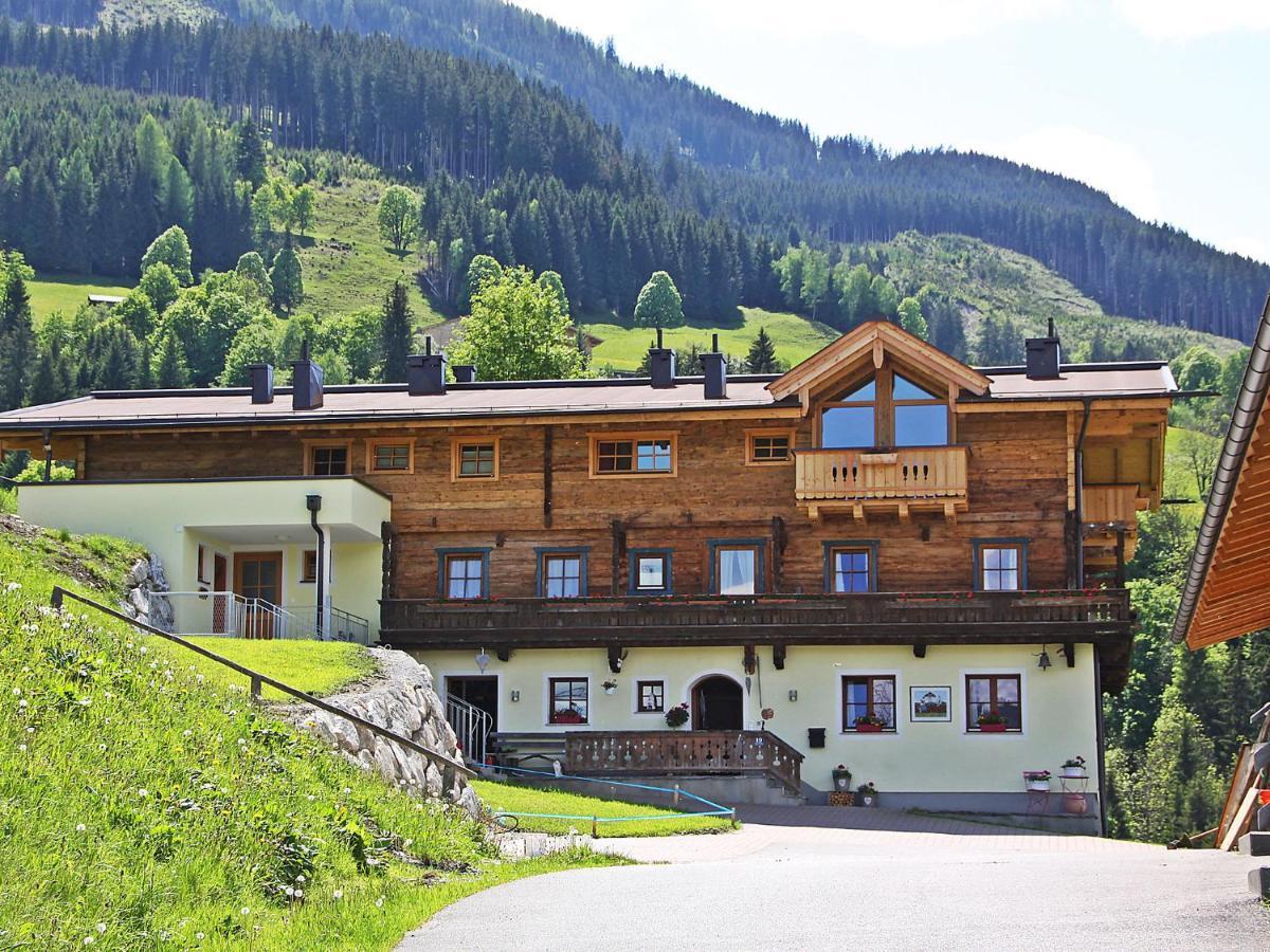 Mooslehen-2 By Interhome Apartment Schattberg